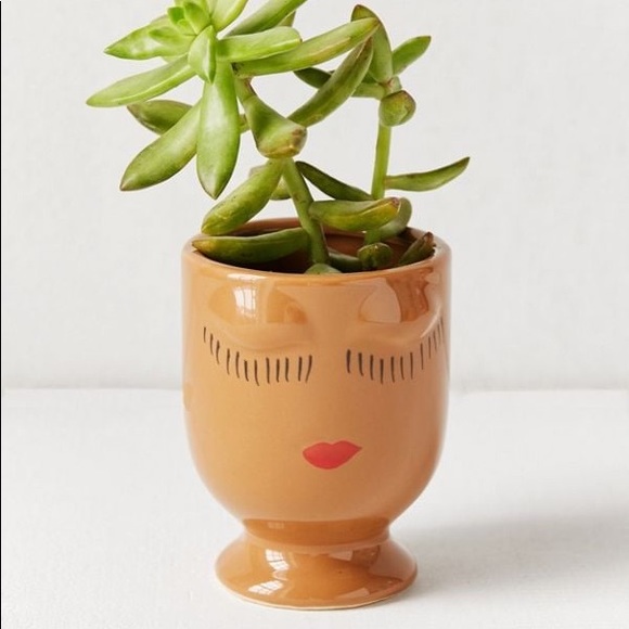 Urban Outfitters Other - Urban Outfitters Celfie Planter in Caramel